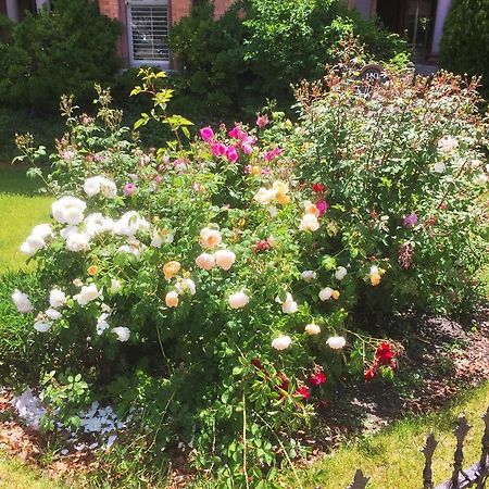 سالت ليك سيتي Historic Ellerbeck Mansion Bed & Breakfast المظهر الخارجي الصورة