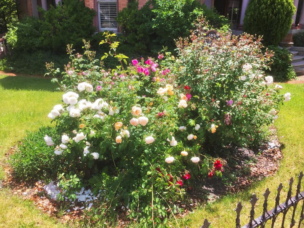 سالت ليك سيتي Historic Ellerbeck Mansion Bed & Breakfast المظهر الخارجي الصورة